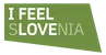 IFEEL logo